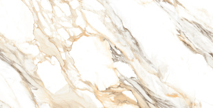 Керамогранит Ceraland Calcatta Paonazzo (60х120) глянец